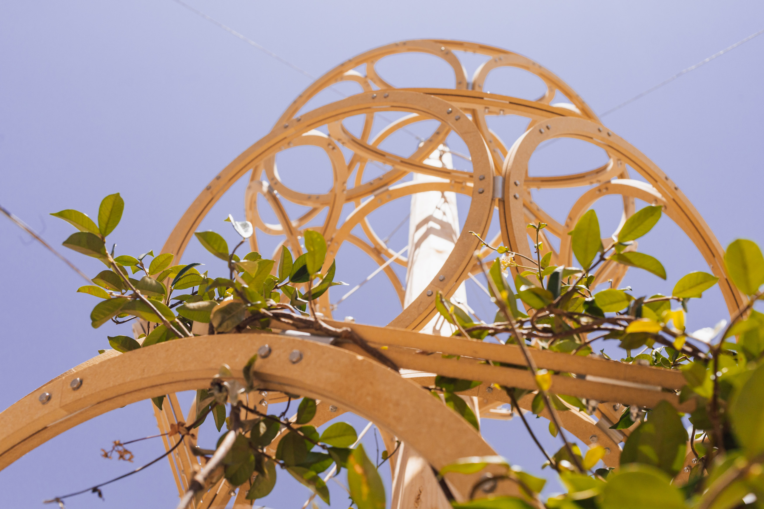 installazione_pezzolla_mg_8956