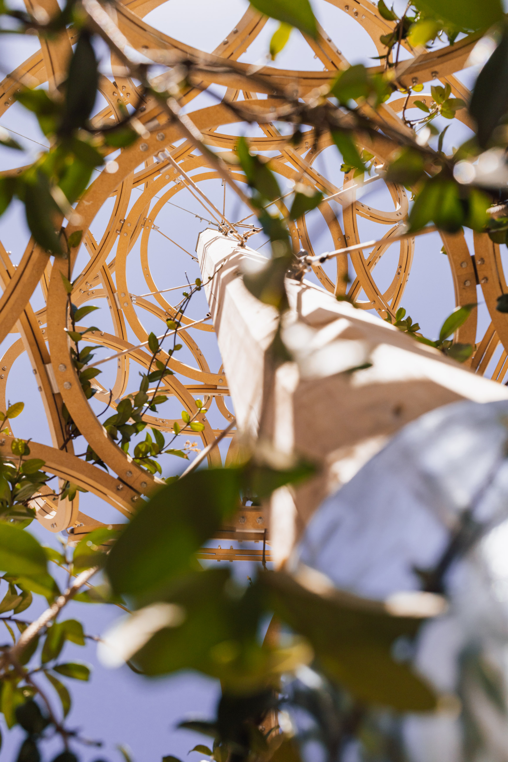 installazione_pezzolla_mg_8959