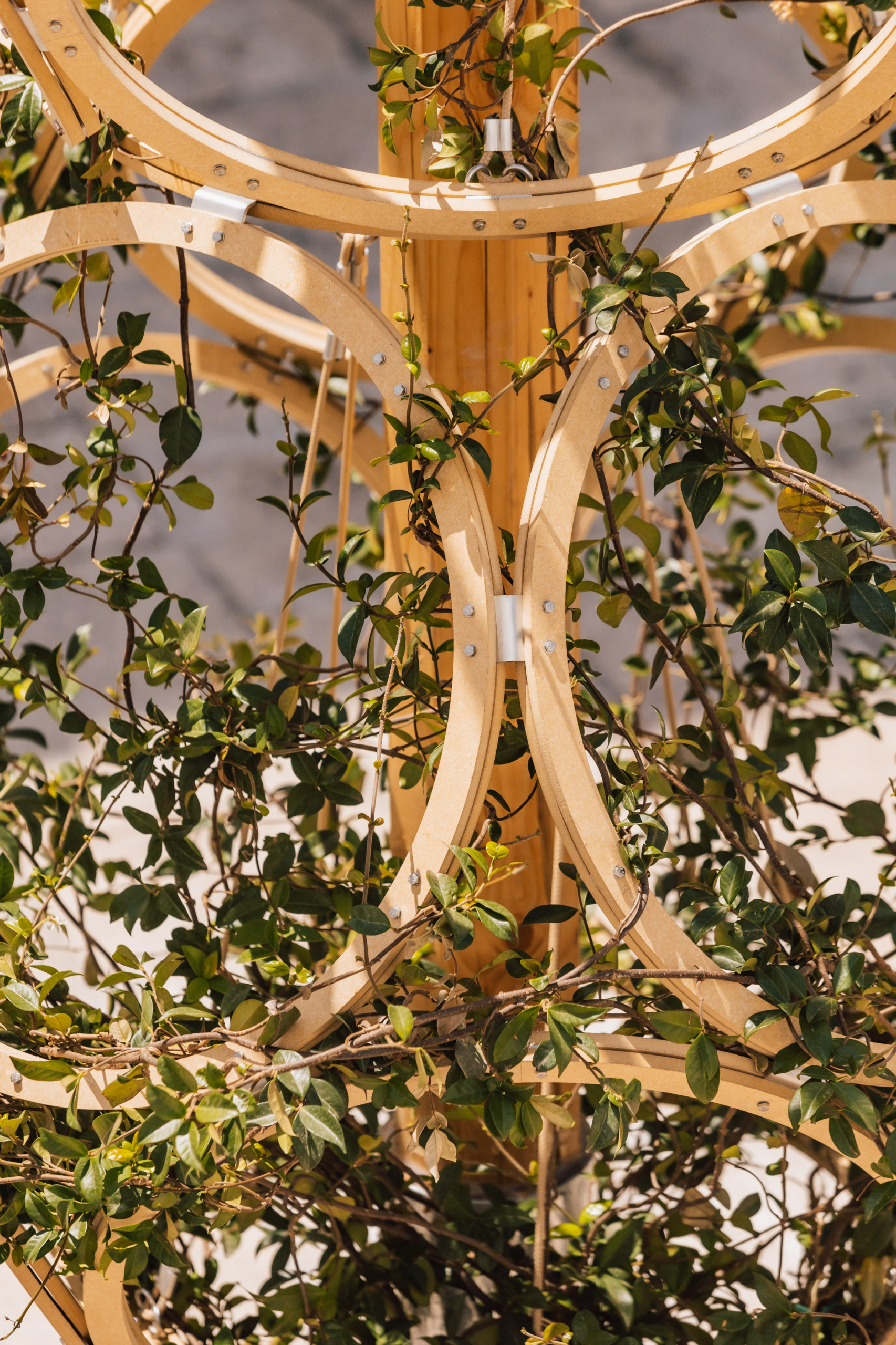 installazione_pezzolla_mg_9029